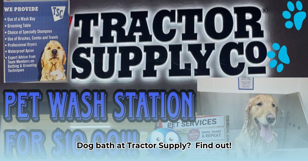 can-i-bathe-my-dog-at-tractor-supply